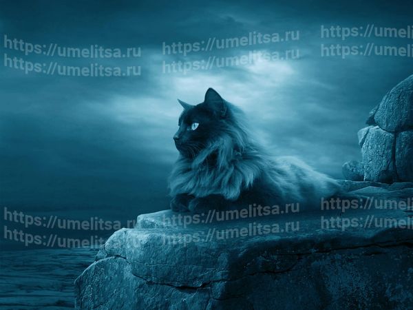 приметы