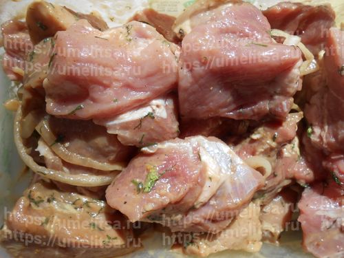Секреты маринования мяса на шашлык