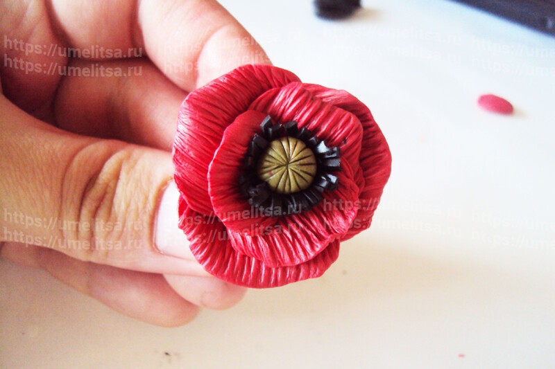 Как слепить цветок мака и бутоны из полимерной глины