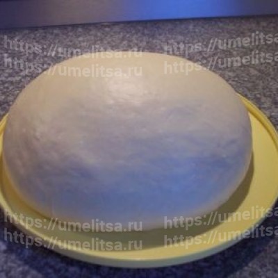 Тесто на дрожжах (рецепт 19 века)