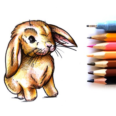 Как нарисовать зайчика