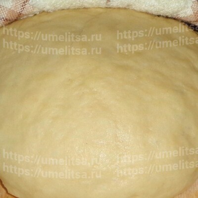 Дрожжевое тесто для пирожков и пышек