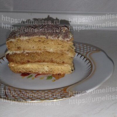 Медовик Наливной