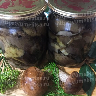 Маринованные белые грибы с веточкой вишни и укропом