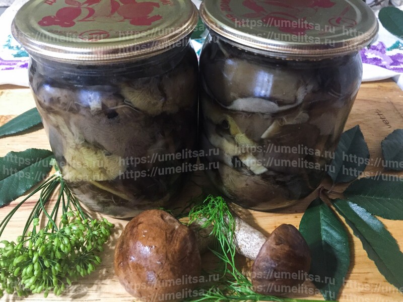 Маринованные белые грибы с веточкой вишни и укропом