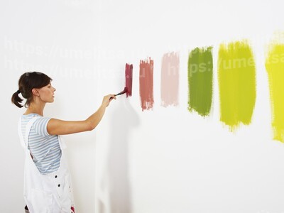 Как выбрать краску для стеновых работ?