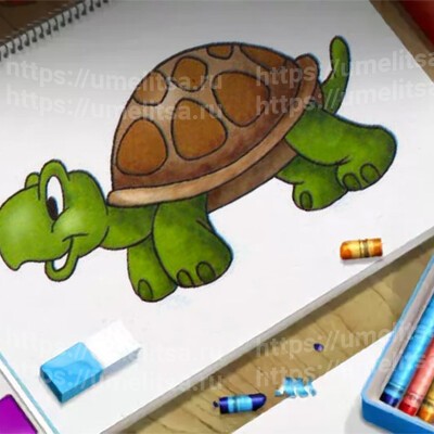 Как нарисовать черепаху