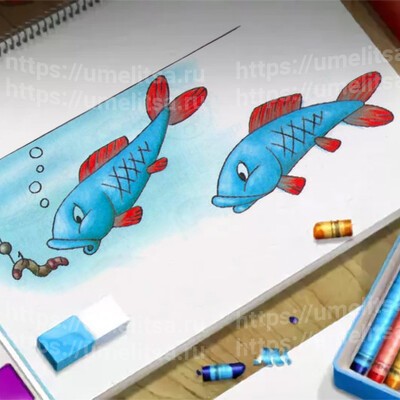 Как нарисовать рыбу