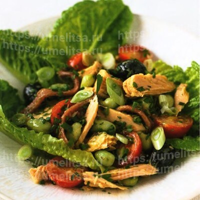 Салат в стиле нисуаз