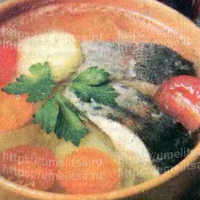 Уха Архиерейская