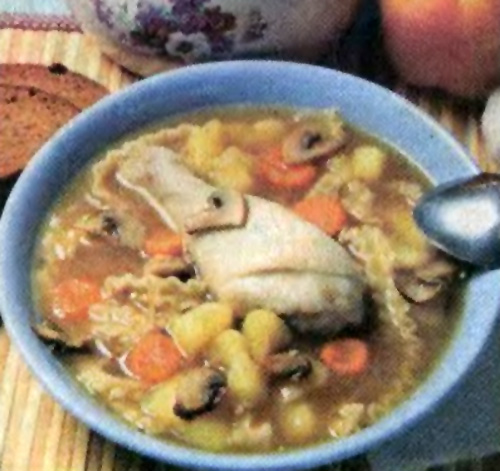 Грибной суп-лапша с курицей