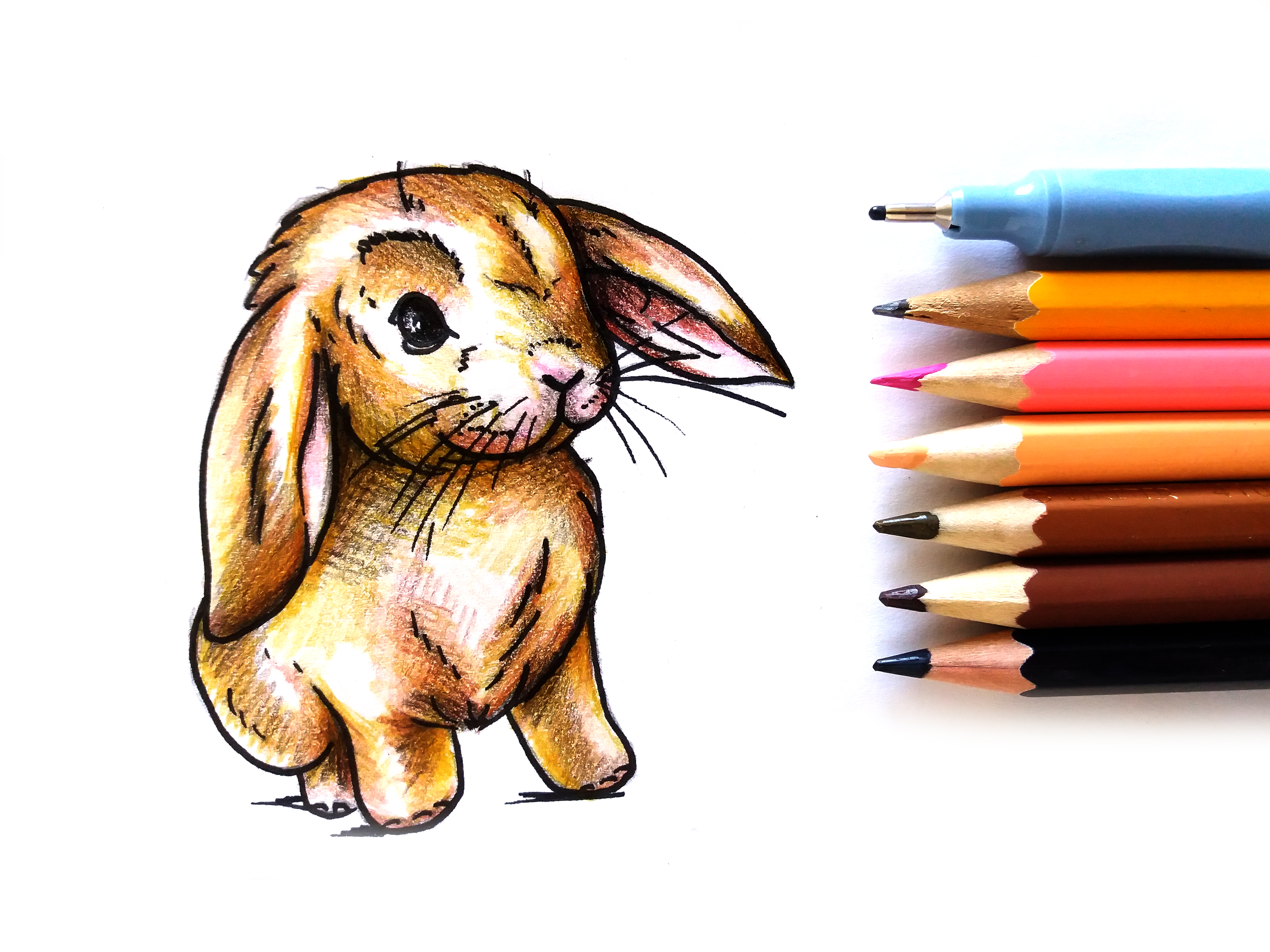 Как нарисовать зайчика