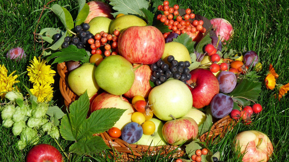 плодово ягодные деревья и кустарники