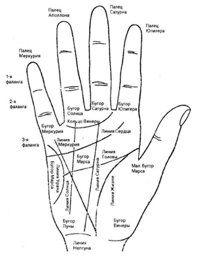 Знаки здоровья и болезней на руке