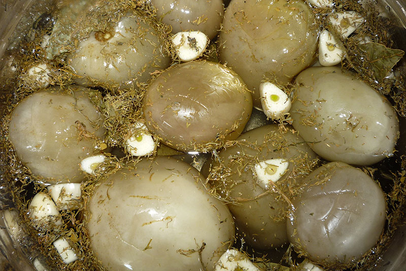 Зелёные бочковые помидоры